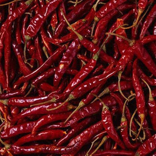 Guntur Chilli